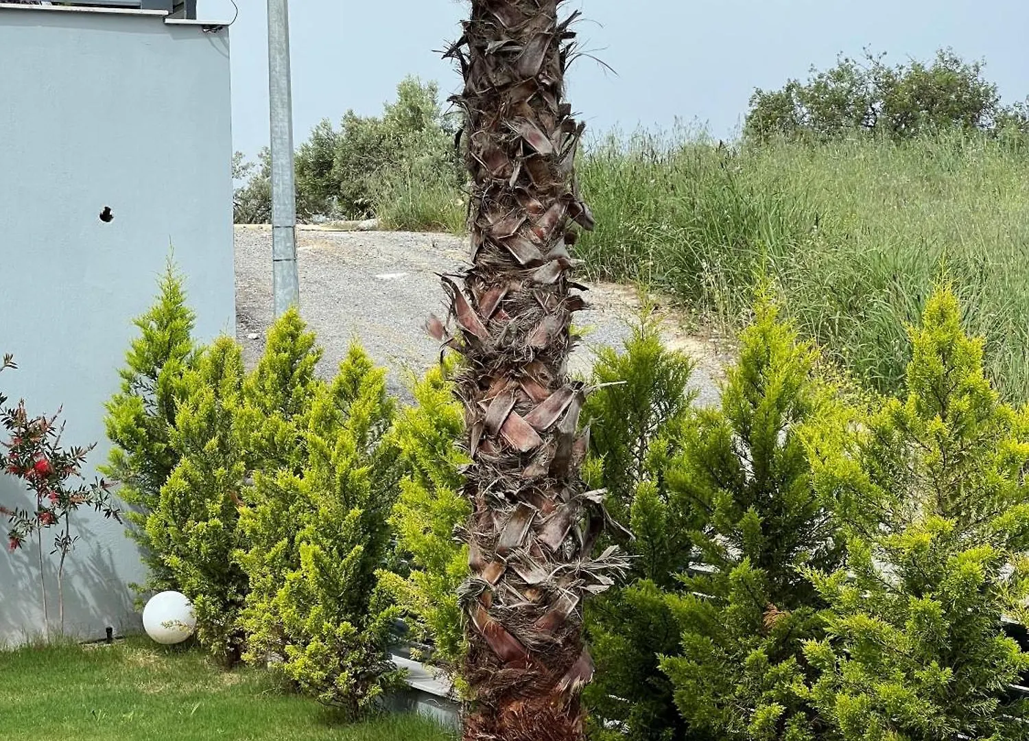 Spacegardenvillas Kusadasi